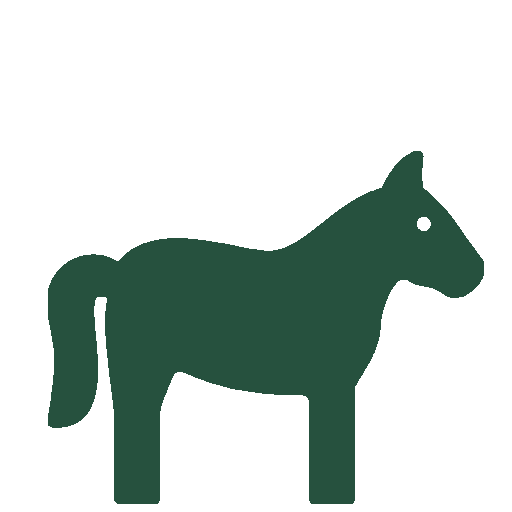 Icona Pony Size